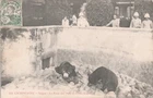 Old postcard ASIA COCHININE SAIGON THE BEAR PIT AT THE BOTANICAL GARDEN
