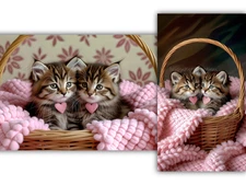 Cute Kittens Phone Wallpaper Bundle 9:16 & 16:9 Digital Image Picture Background