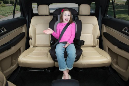 Booster Car Seat Toddler Unisex Kid Purple 2-in-1 Rosette Forward-facing Harness - Picture 2 of 24