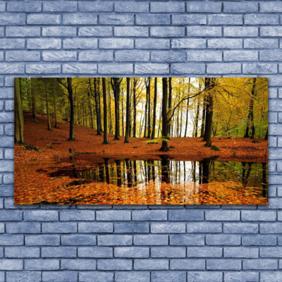 Photo sur toile Image Tableau Impression 140x70 Nature Forêt