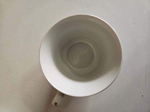 Tang Shan Bone China Set Cup Saucer Design Pink Roses Buds Gray Leaves - 第 9/11 張圖片