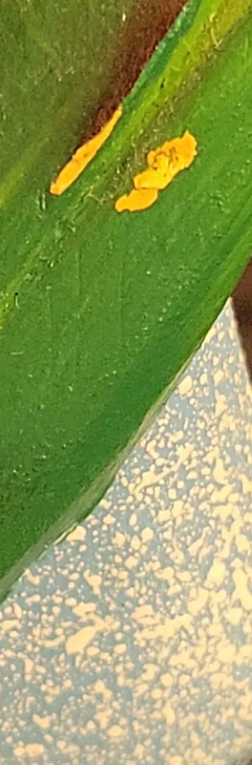 Picture 12 of 23