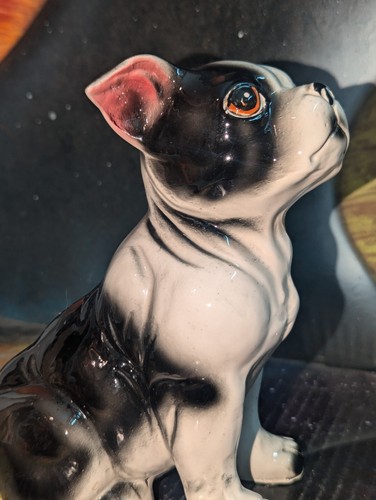 Lindo Boston Terrier Pug Perro Cachorro Japón Negro Blanco Lusterware 6.5" de colección - Imagen 11 de 18