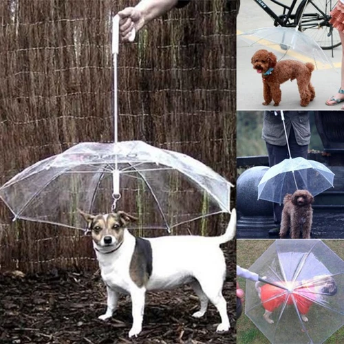 Outdoor transparenter Haustierschirm für kleine Hunde Regenausrüstung hält Haustier trocken nützlich - Bild 3 von 10