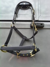 hy equestrian cob size black padded head collar.