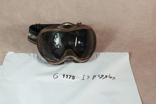 Dye I3 Tan Goggles