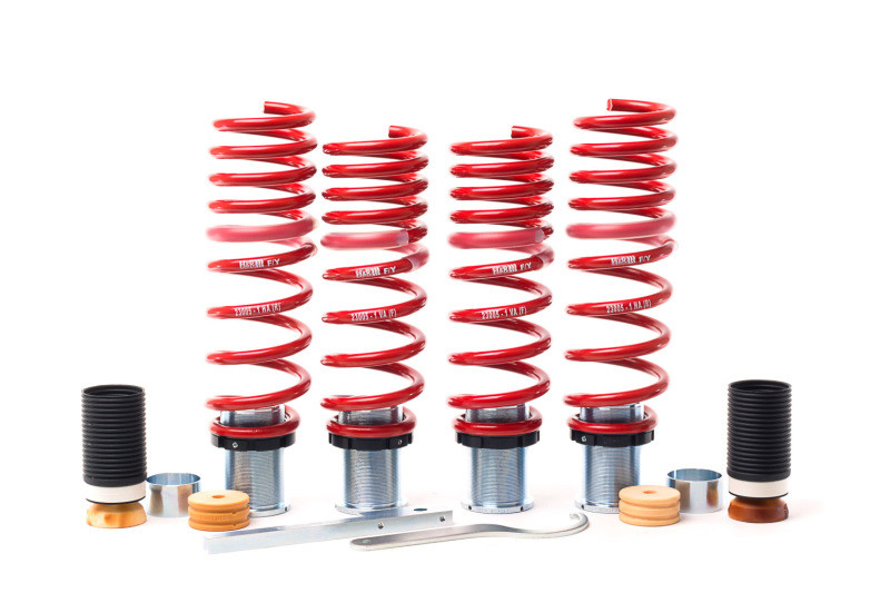 H&R Fits 17-22 Audi R8 Coupe V10 Adjustable Lowering Springs - Part 23005-1