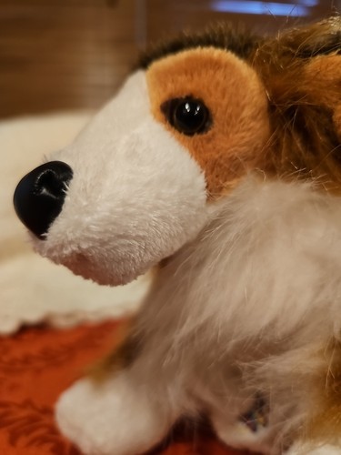 Classic Webkinz COLLIE Puppy Dog Lassie GANZ Plush Stuffed Animal NO CODE HM149 - Picture 5 of 5