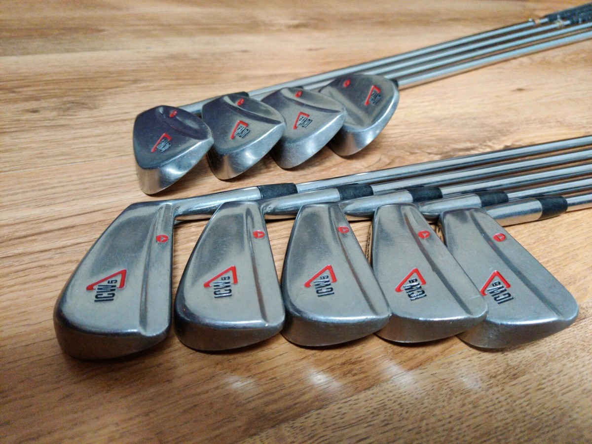 Taylormade ICW5 Iron Set 3-SW R300 | eBay