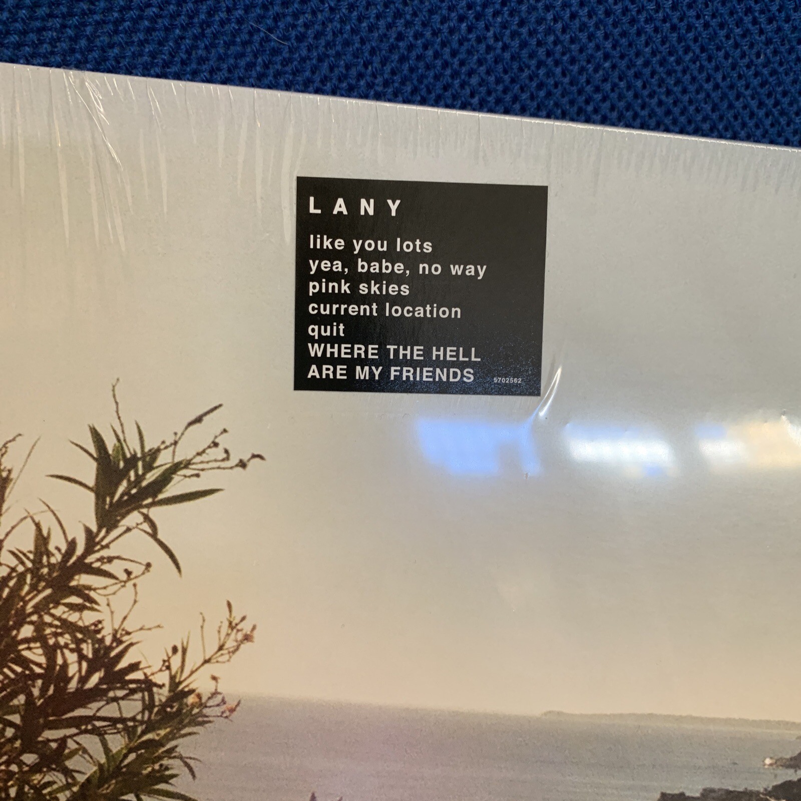 LANY 廃盤レコードLANY