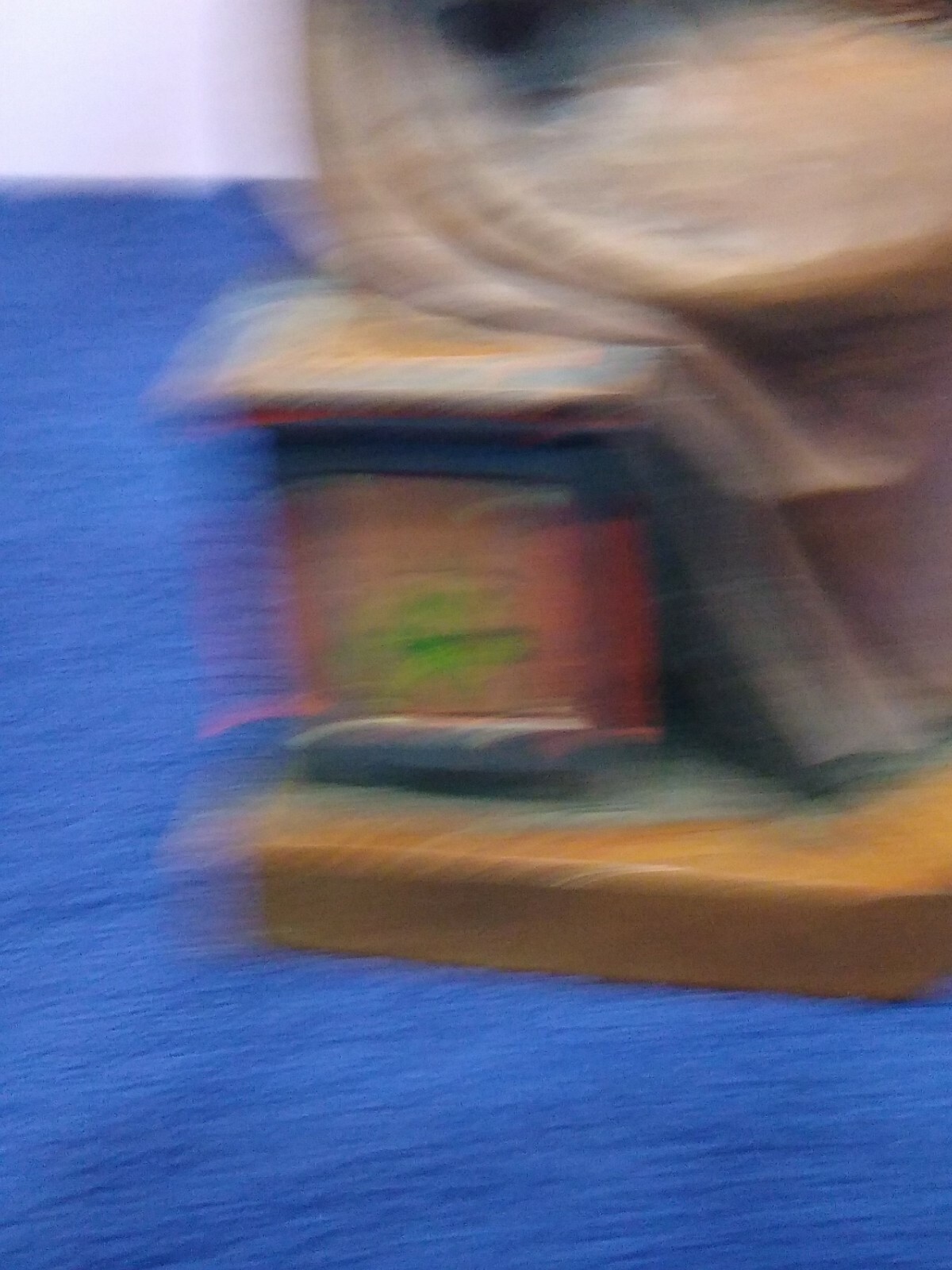 Foto 9 di 9