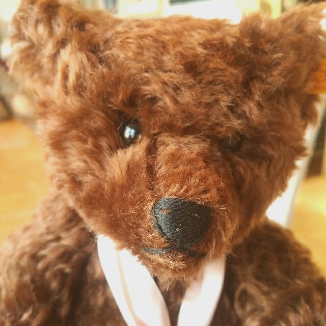 polar express teddy bear