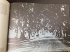 Picture 5 of 6
