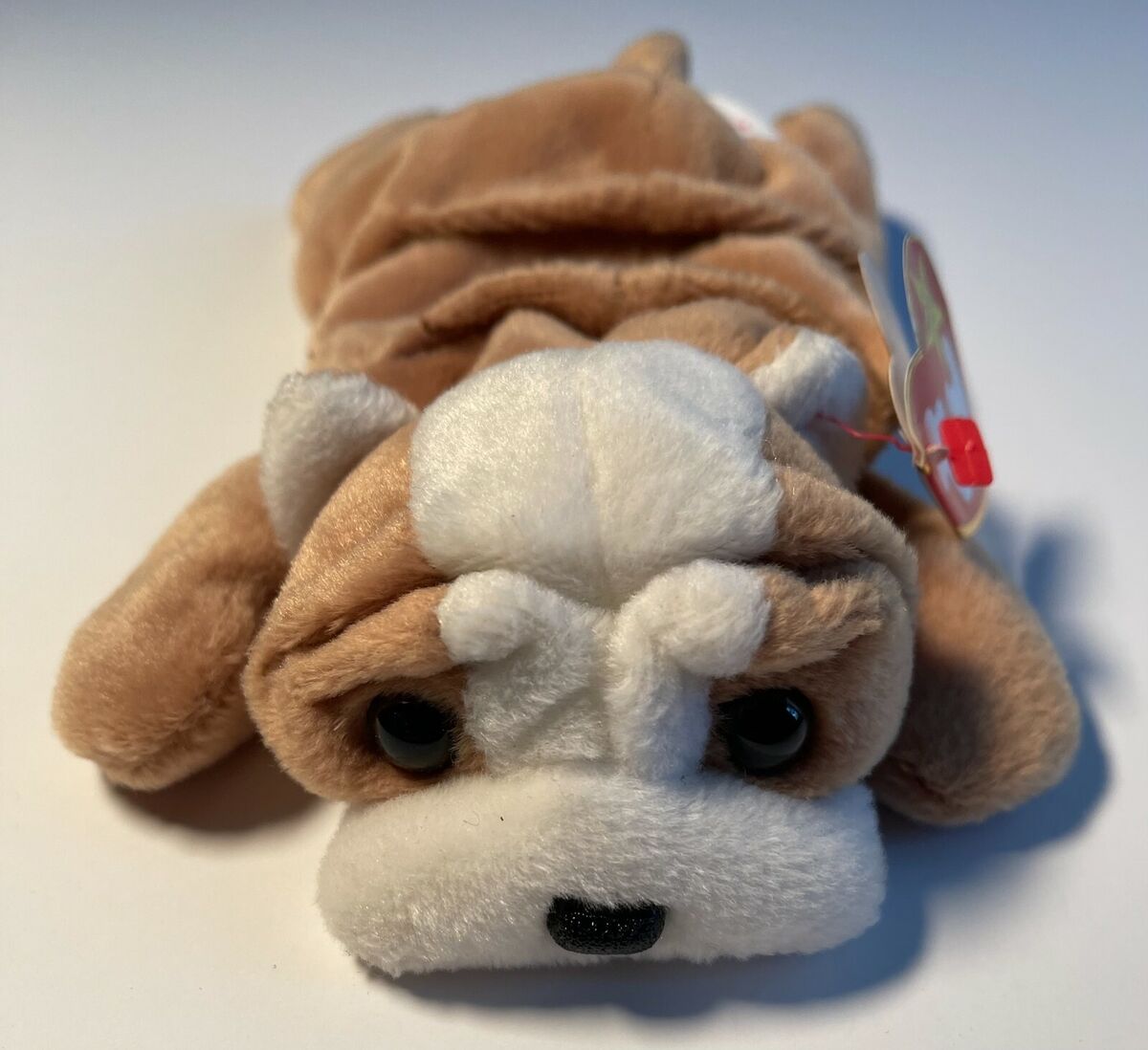 TY 1996 Wrinkles Beanie Baby Very Rare Retired with Errors TY 1996 Wrinkles Beanie Baby Very Rare Retired with Errors