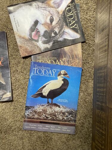 Taxidermy Today Magazine Lot 20 Issues Year 1991 to 1994 Full Years + More! - Picture 6 of 11