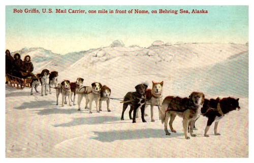 ALASKA BOB GRIFFIS U.S. MAIL DOG SLED OLD POSTCARD - Picture 1 of 2