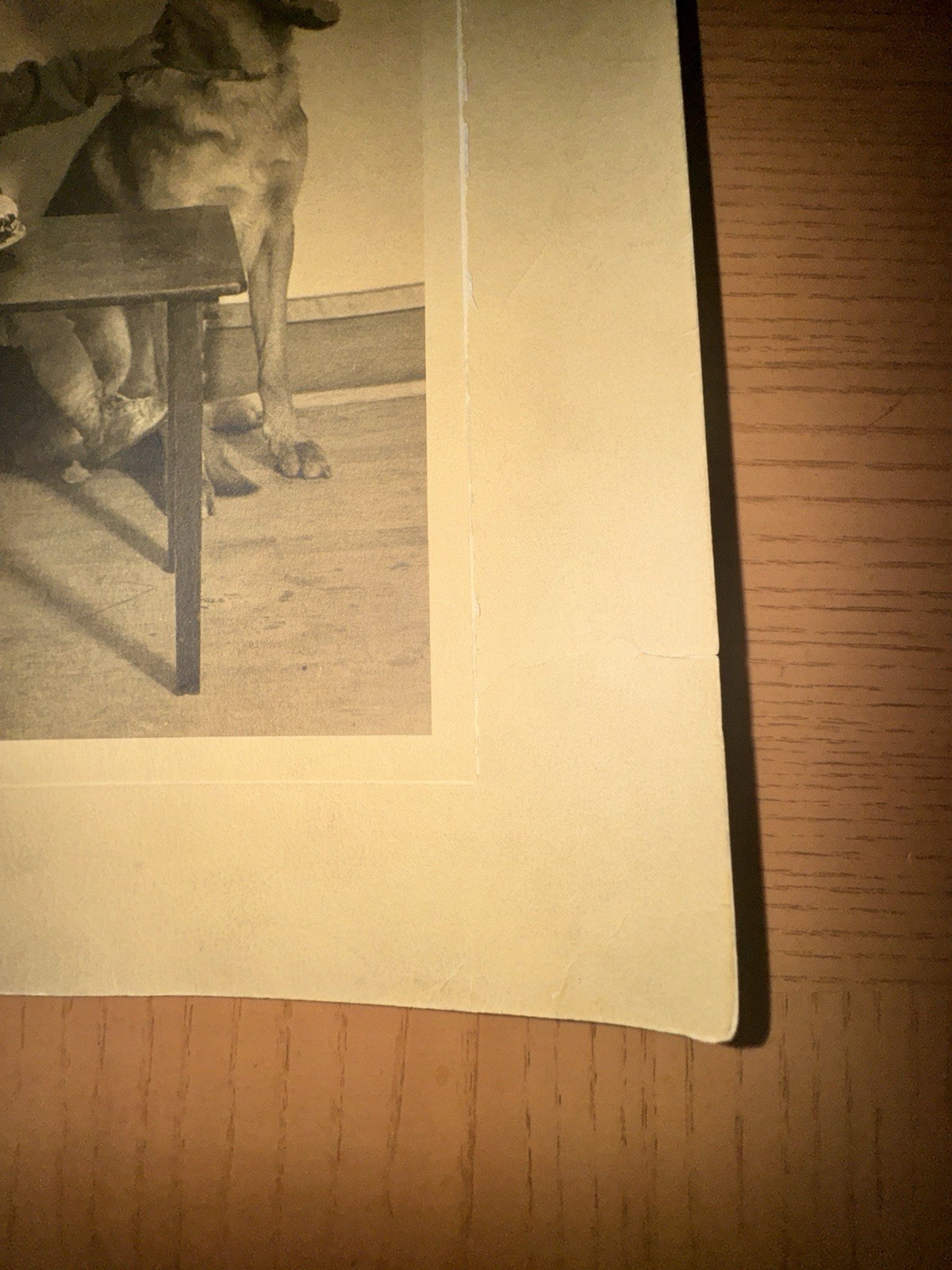 Bild 6 von 8