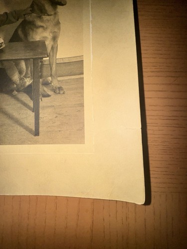 Vintage schwarz-weiß deutscher Schäferhund und Geburtstag Junge Foto - Bild 6 von 8