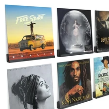 Acrylic Vinyl Record Holder Wall Mounted Rack (Drilled Mounting, Black)