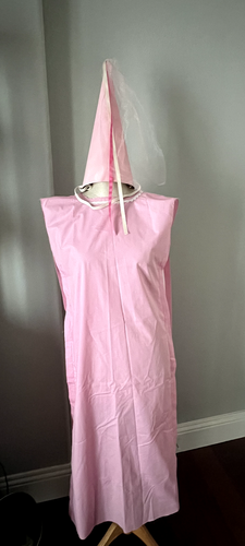 Renaissance Gown Ren Fests Medieval Fairs Dress And Cone Hat Set Costume Cosplay - 第 8/8 張圖片