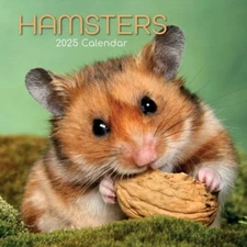 HAMSTERS - 2025 WALL CALENDAR - BRAND NEW - 360699