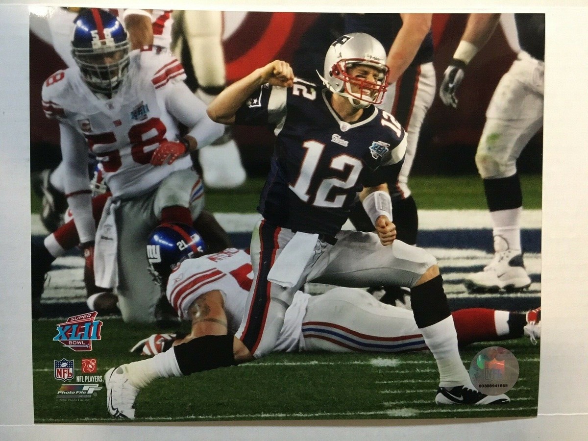 Super Bowl 42 Tom Brady Celebrates New England Patriots Glossy 8 X
