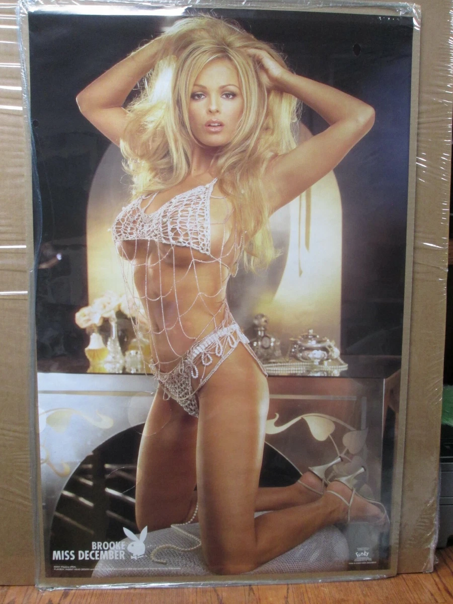 vintage Brooke Miss December 2001 playboy Original Poster 16894 | eBay