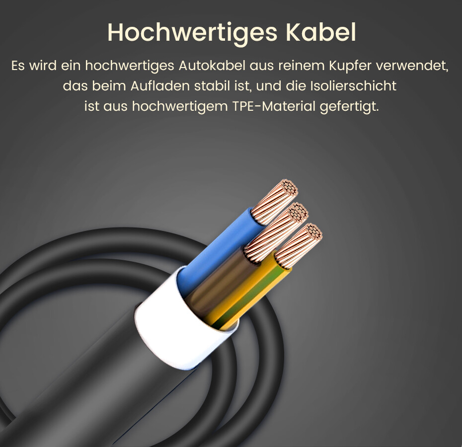Bild 5 von 8