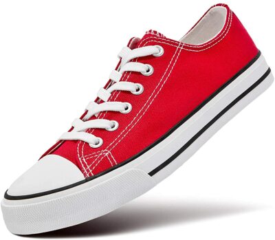 cost of canvas shoes