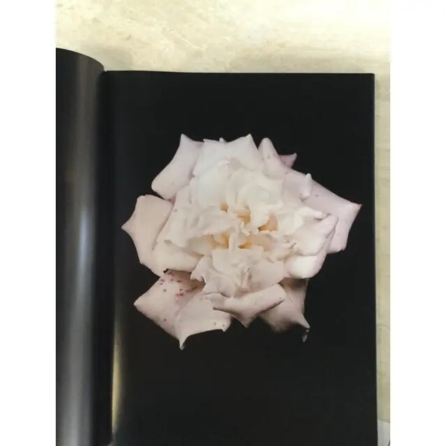 VISIONAIRE 40 DAVID SIMS / ROSES サイン本 VISIONAIRE No.40