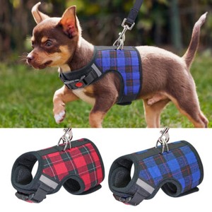 small puppy harness and lead