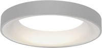 Moderne Graue Deckenleuchte 40W/LED 2200Lm IP20 2700-6500K Hell Und Energieef...