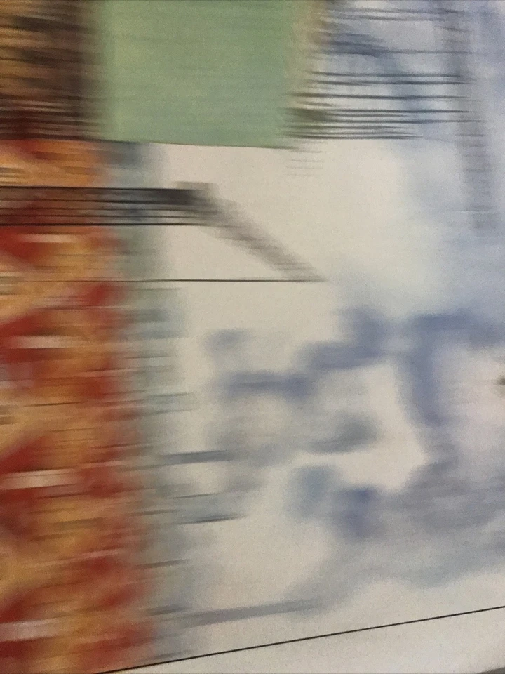 Carte scolaire Pédagogique Rossignol 76x56 Cm Histoire  Le maquis - Photo 3/4