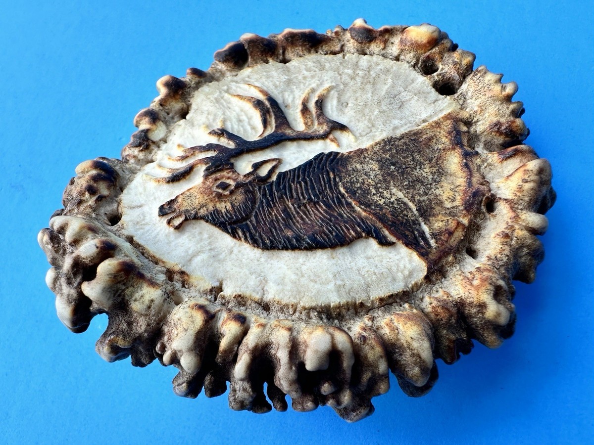 Vintage Elk Antler Belt Buckle Hand Carved M Horvat Western Rustic View 4