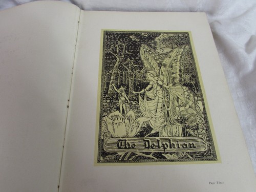 1928 high school YEAR BOOK Delphian Kalamazoo Central High Kalamazoo MI yearbook - Picture 2 of 8