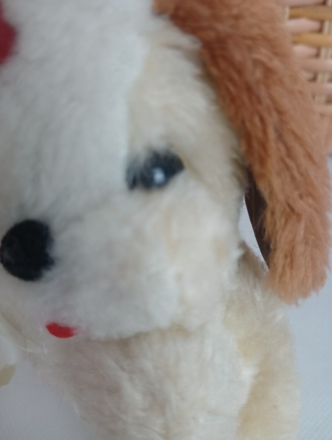 Bild 8 von 8