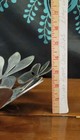 Bild 12 von 13