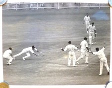 Original Cricket Photograph - Tom Graveney
