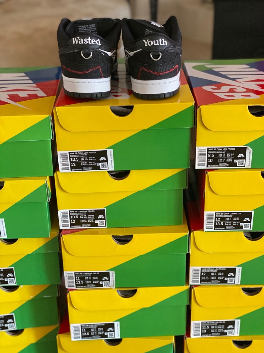 Nike Dunk Low SB×Wasted youth deadstock sizes 7 7.5 8.5 10.5 11 11.5 12 Nike Dunk Low SB x Wasted Youth New Deadstock Size 7 7.5 8.5  main image 4