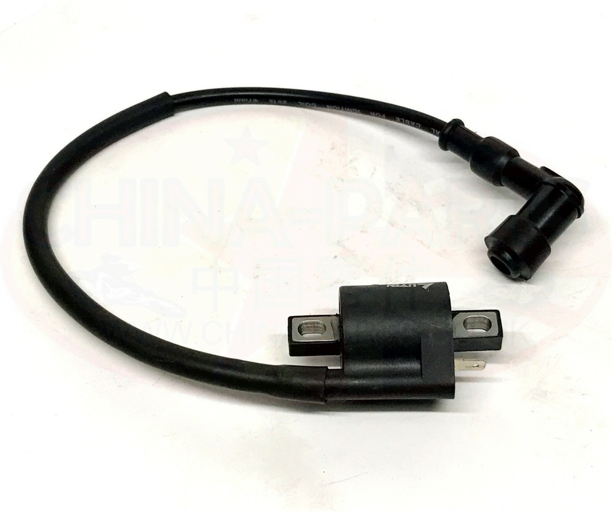 ワインディングセット Ignition Coil for Wuyang WY125-16C | eBay