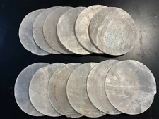 2.5" Round Capiz Shells  12 pcs. Seashells Windowpane Oyster  Free Ship!