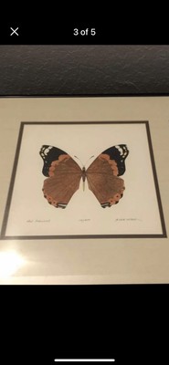 Dan Mitra  Red Admiral  Butterfly Print #141/400 (Unframed)
