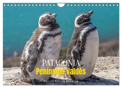 Patagonia, Peninsula Valdés - Marine Nature Reserve (Wall Calendar 2026 DIN A4 l