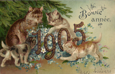 PC CATS, GOOD YEAR 1905, Vintage LITHO Postkarte (b47207)