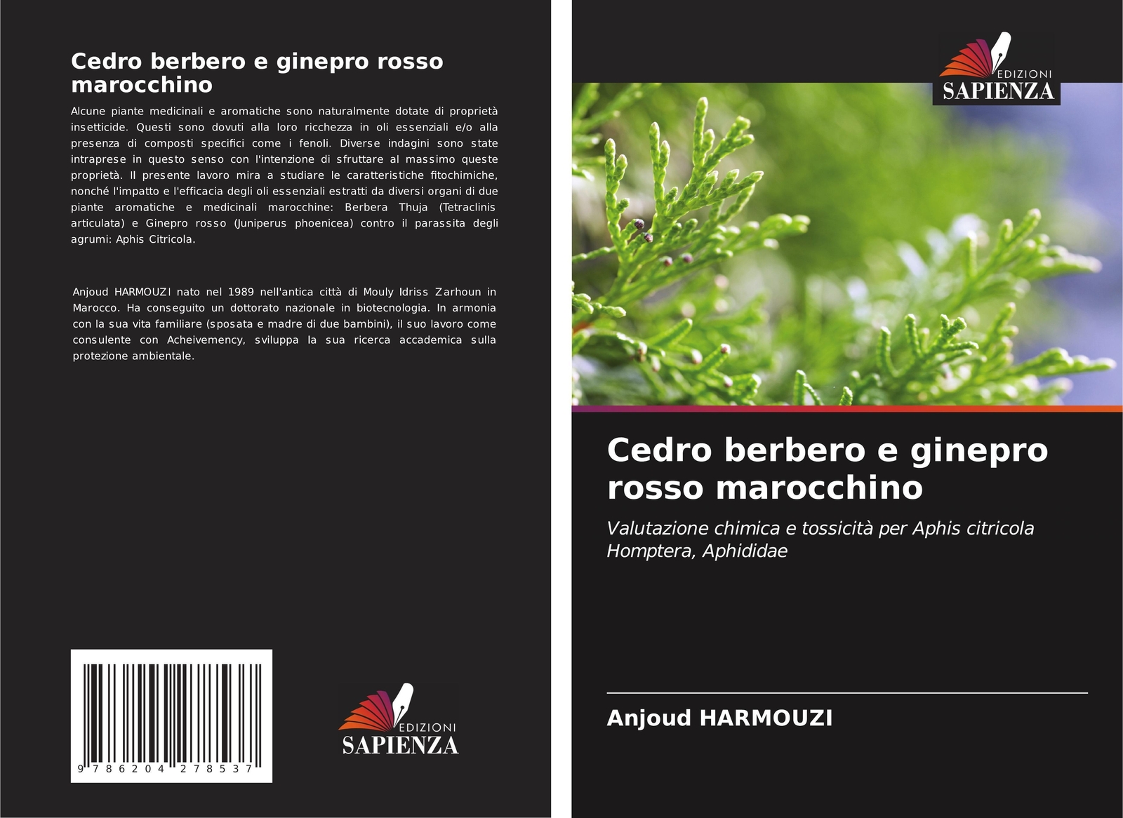 Anjoud Harmouzi | Cedro Berbero E Ginepro Rosso Marocchino |