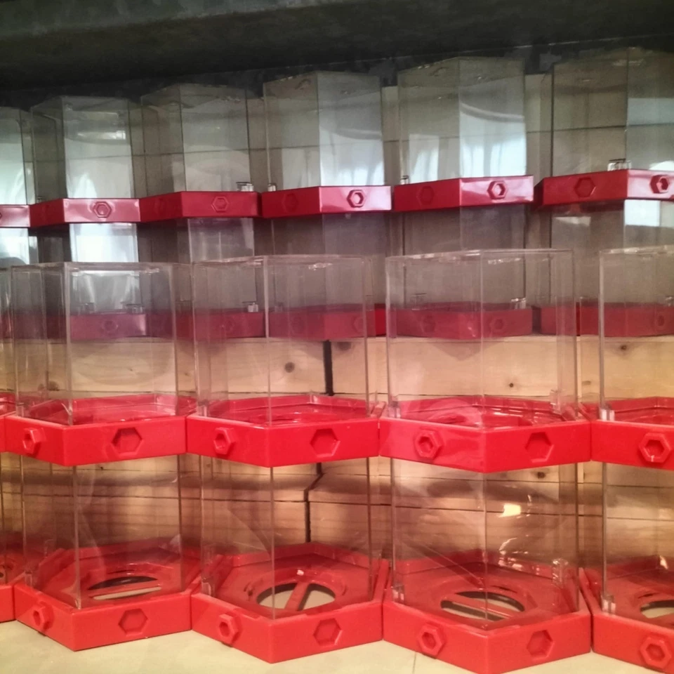 DISNEY INFINITY SET 2 VETRINE BOX modulari originali per personaggi - Immagine 4 di 4