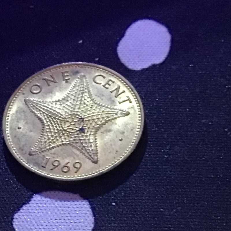 One 1 Cent 1969 Bahama Islands Coin Starfish Queen Elizabeth II A6