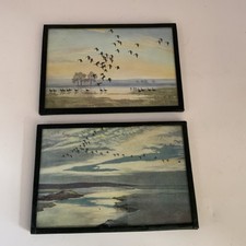 Gerahmte Drucke Peter Scott weiße Fronten auf Hochwasser Brent Gänsen Postkartenformat 