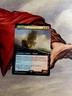 MTG Jackdaw Universes Beyond: Assassin's Creed Extended Art NM English