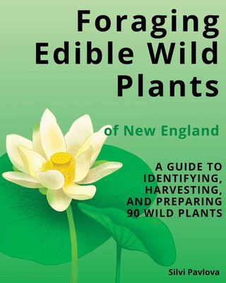 Foraging Edible Wild Plants of New England | Silvi Pavlova | Taschenbuch | 2024